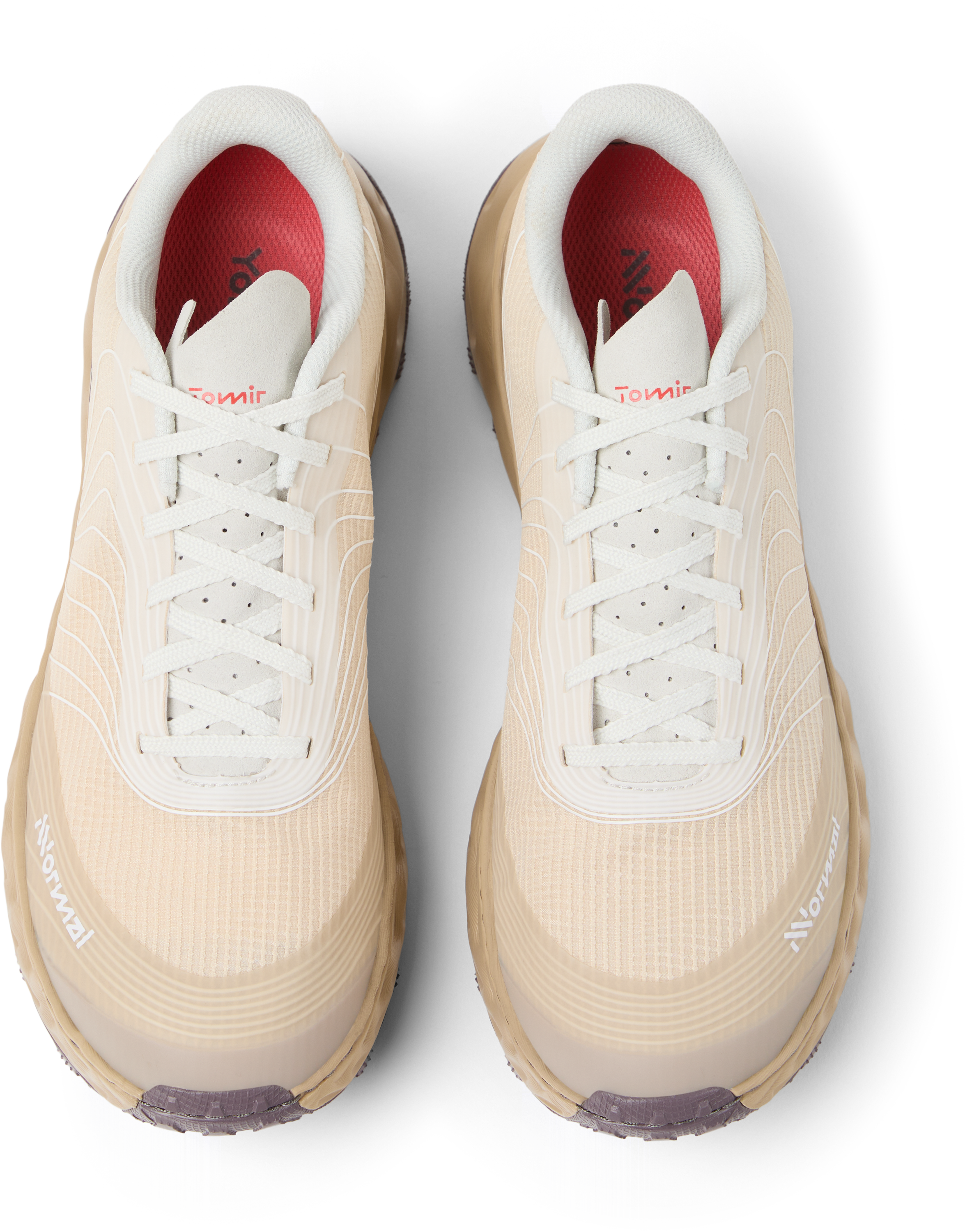 Tomir 02  | ¡Nuevo diseño y color!